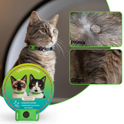 BuddyNest PuroPaws™ – Collier anti-parasites naturel pour chats