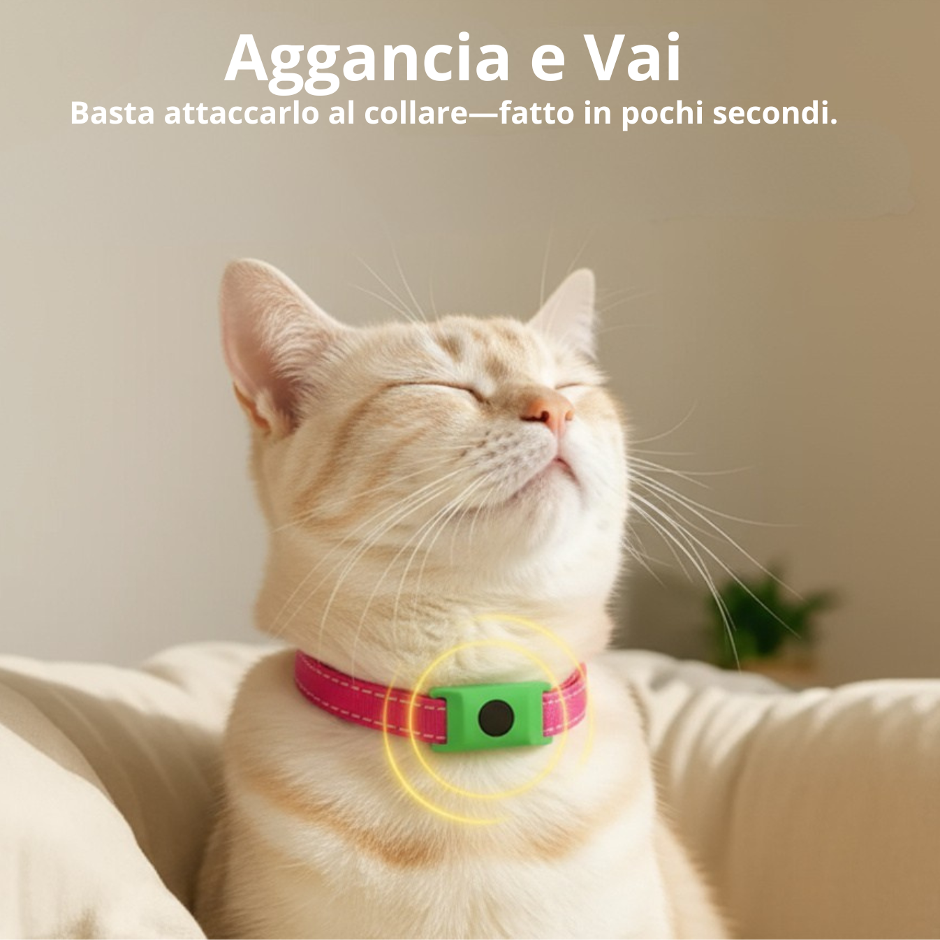 BuddyNest PuroPaws™ – Collier anti-parasites naturel pour chats