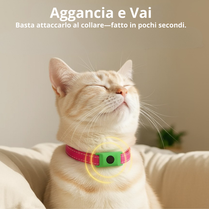 BuddyNest PuroPaws™ – Collier anti-parasites naturel pour chats