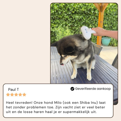 BuddyNest SteamBrush – Brosse professionnelle de soin du pelage pour animaux de compagnie