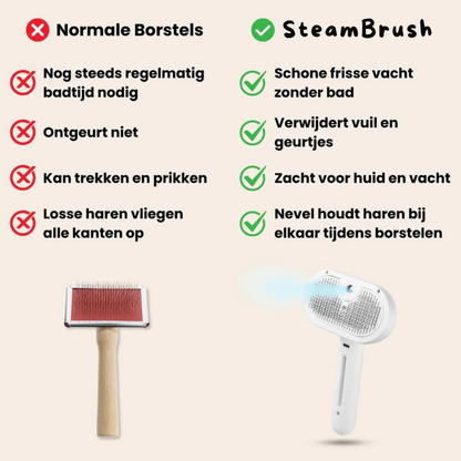 BuddyNest SteamBrush – Brosse professionnelle de soin du pelage pour animaux de compagnie