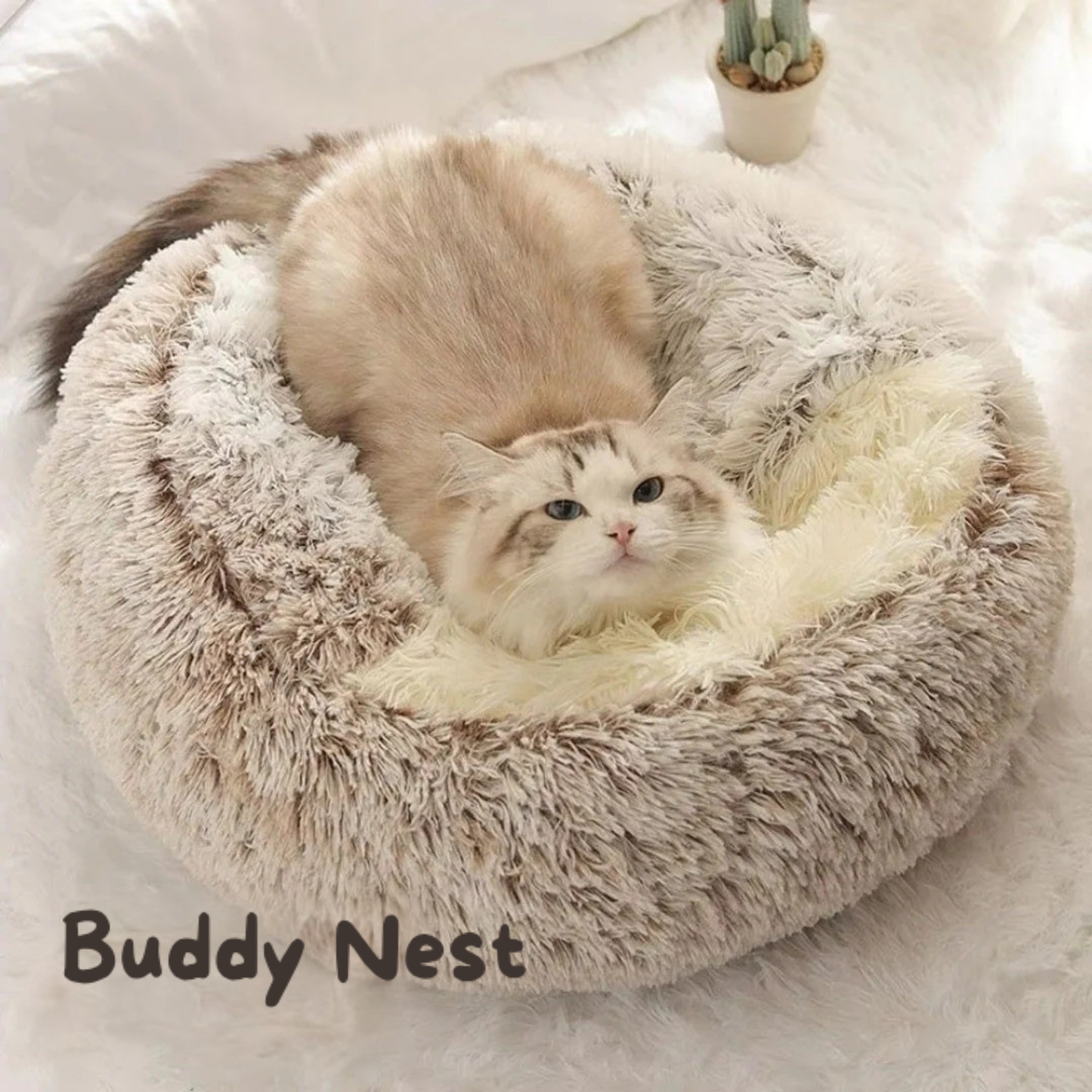 BuddyNest Nid de couchage luxueux – Pour chats et petits chiens