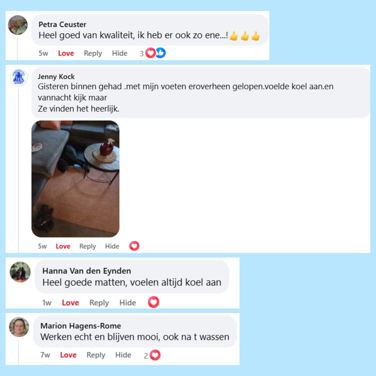 BuddyNest CoolSleep – Tapis de repos auto-rafraîchissant pour animaux de compagnie