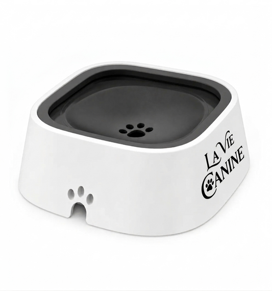 Gamelle flottante anti-débordement pour animaux de compagnie