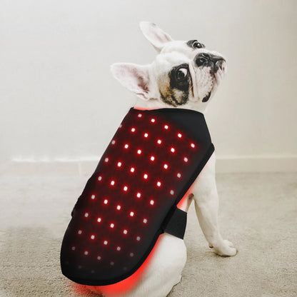 BuddyNest LumiPaw™ – Gilet de thérapie infrarouge
