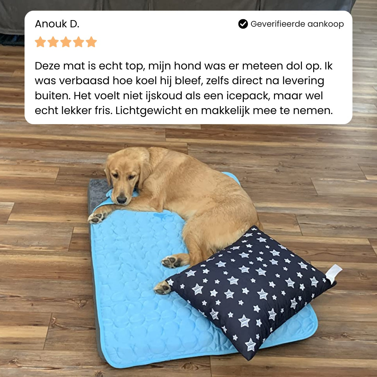 BuddyNest CoolSleep – Tapis de repos auto-rafraîchissant pour animaux de compagnie