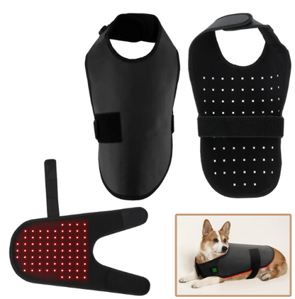 BuddyNest LumiPaw™ – Gilet de thérapie infrarouge