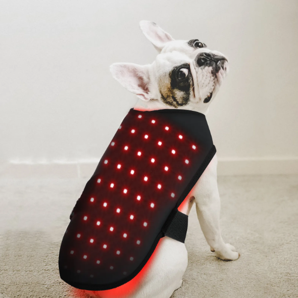 BuddyNest LumiPaw™ – Gilet de thérapie infrarouge