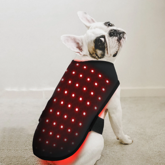 BuddyNest LumiPaw™ – Gilet de thérapie infrarouge