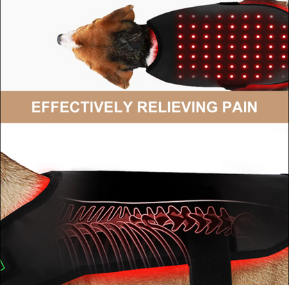 BuddyNest LumiPaw™ – Gilet de thérapie infrarouge