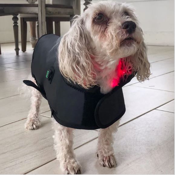 BuddyNest LumiPaw™ – Gilet de thérapie infrarouge
