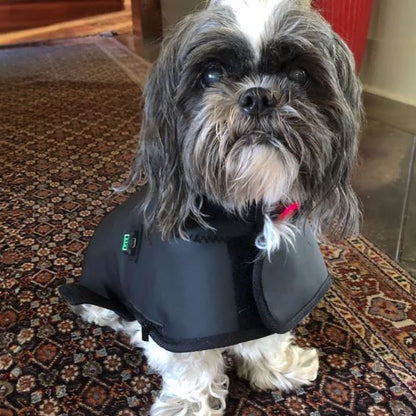 BuddyNest LumiPaw™ – Gilet de thérapie infrarouge