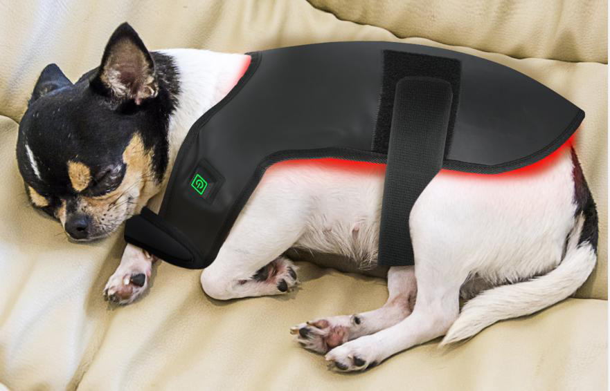 BuddyNest LumiPaw™ – Gilet de thérapie infrarouge