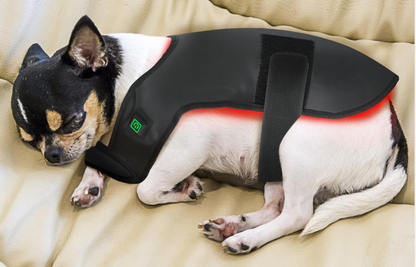 BuddyNest LumiPaw™ – Gilet de thérapie infrarouge