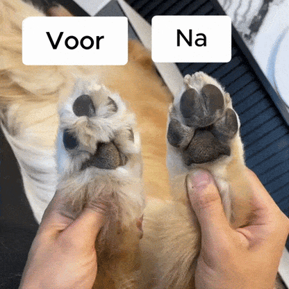 BuddyNest Tondeuse – Tondeuse de précision professionnelle pour animaux de compagnie
